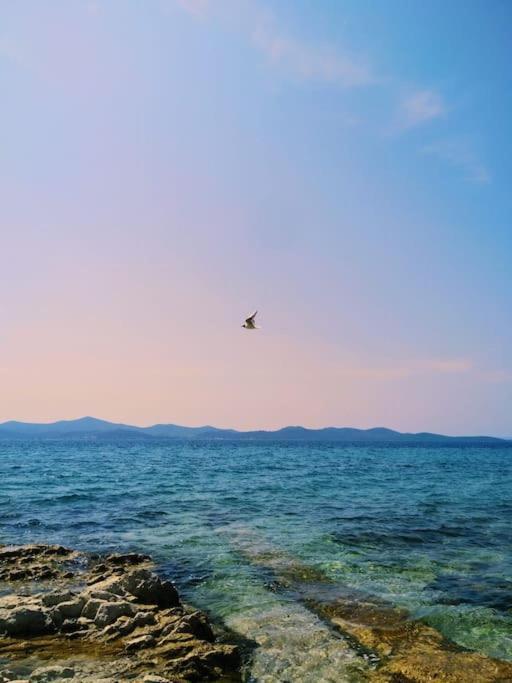 Dalmatia Rustica Comfortable One Bedroom+Fireplace Zadar Exterior photo